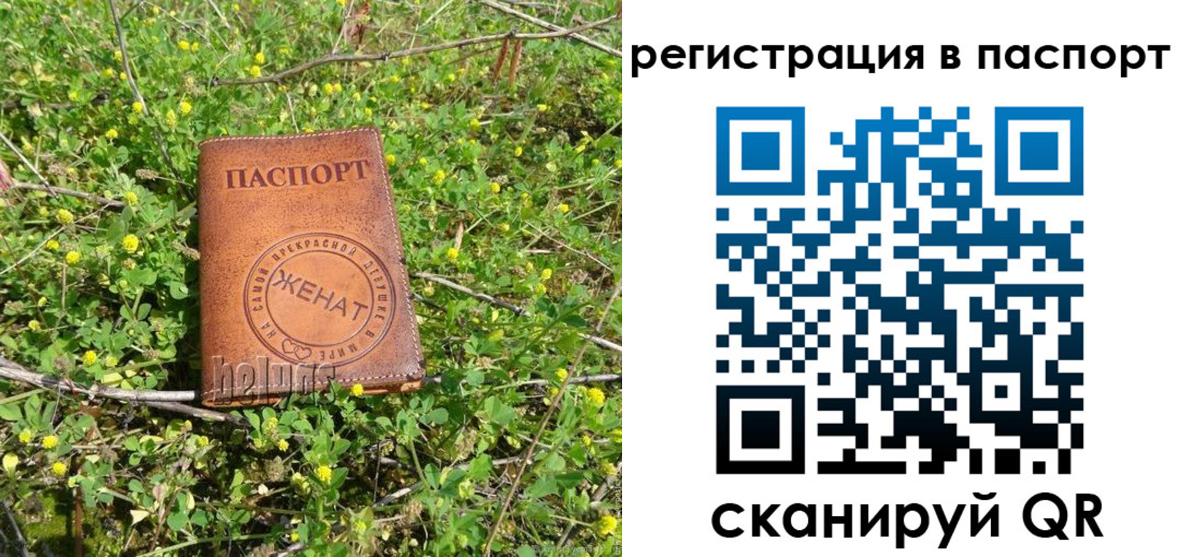 прописка для кредита в Чайковском